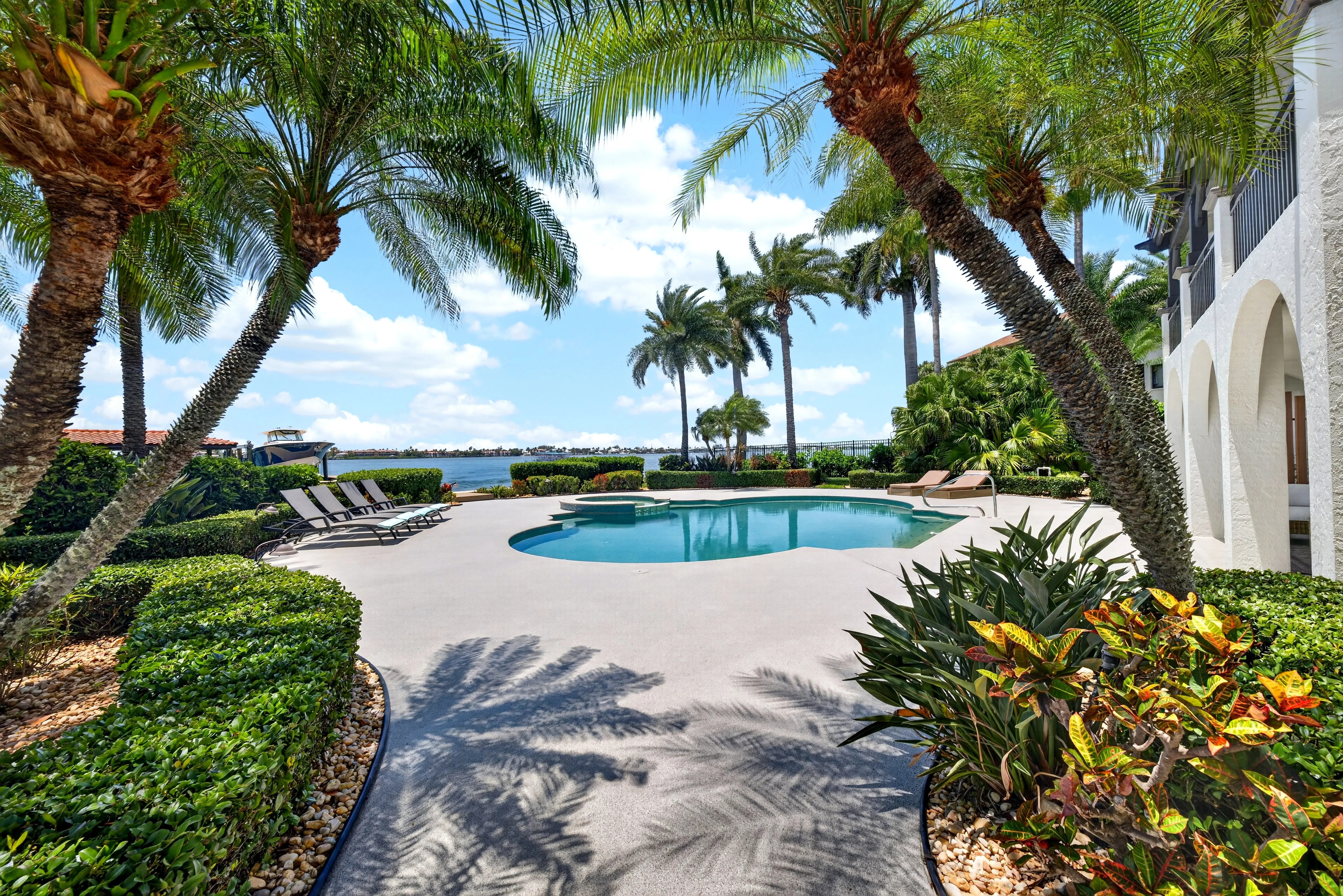 Pool deck and palm canopy from the side garden